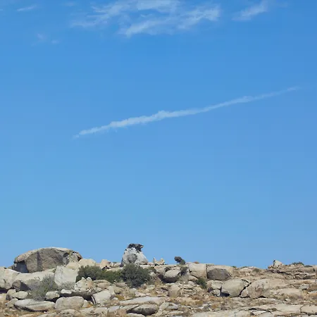 Lejlighedshotel Kedros