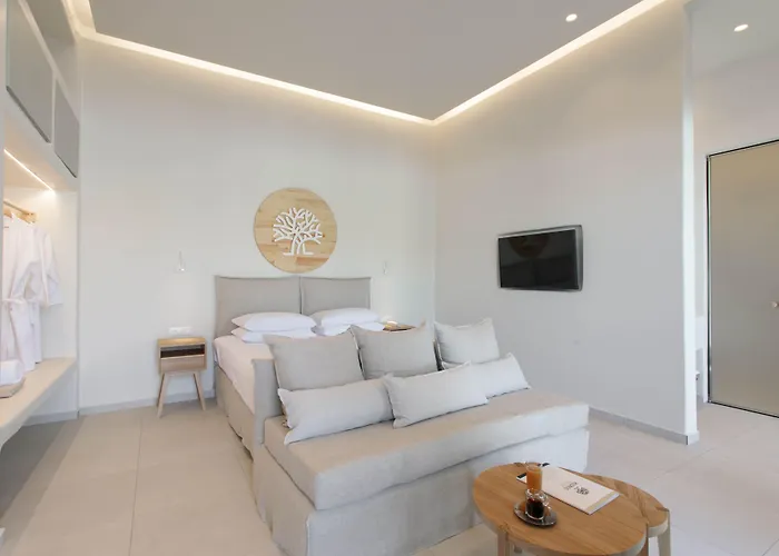 Lejlighedshotel Kedros Agios Prokopios (Naxos)