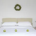 Kedros Lägenhetshotell Agios Prokopios (Naxos)