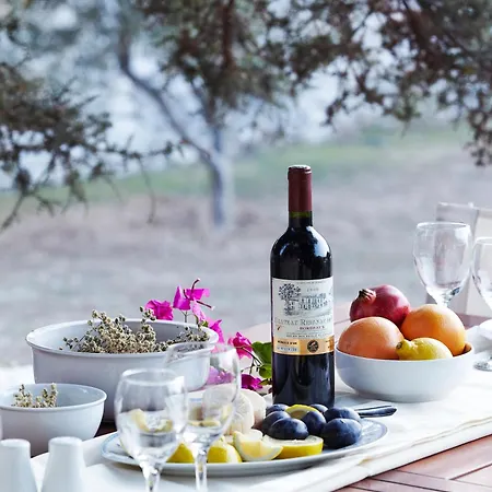 Aparthotel Kedros Agios Prokopios (Naxos)