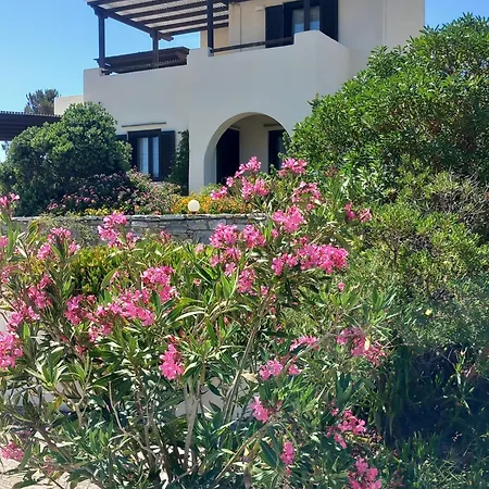 Kedros Aparthotel Agios Prokopios (Naxos)