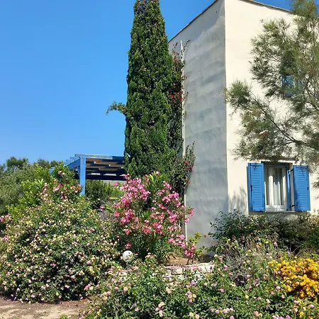 Kedros איוס פרוקופיוס