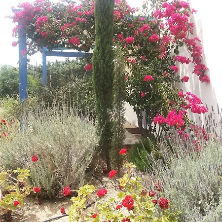 Kedros Aparthotel